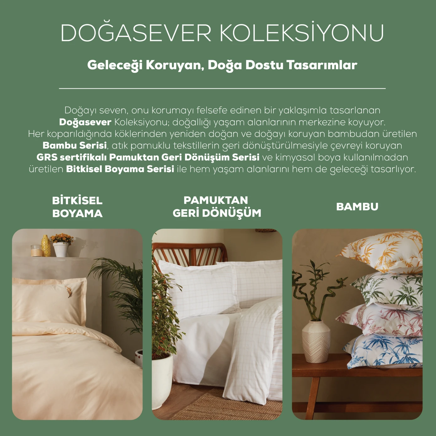 8680214317402_5